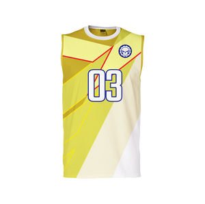 Volleyball Jersey #3