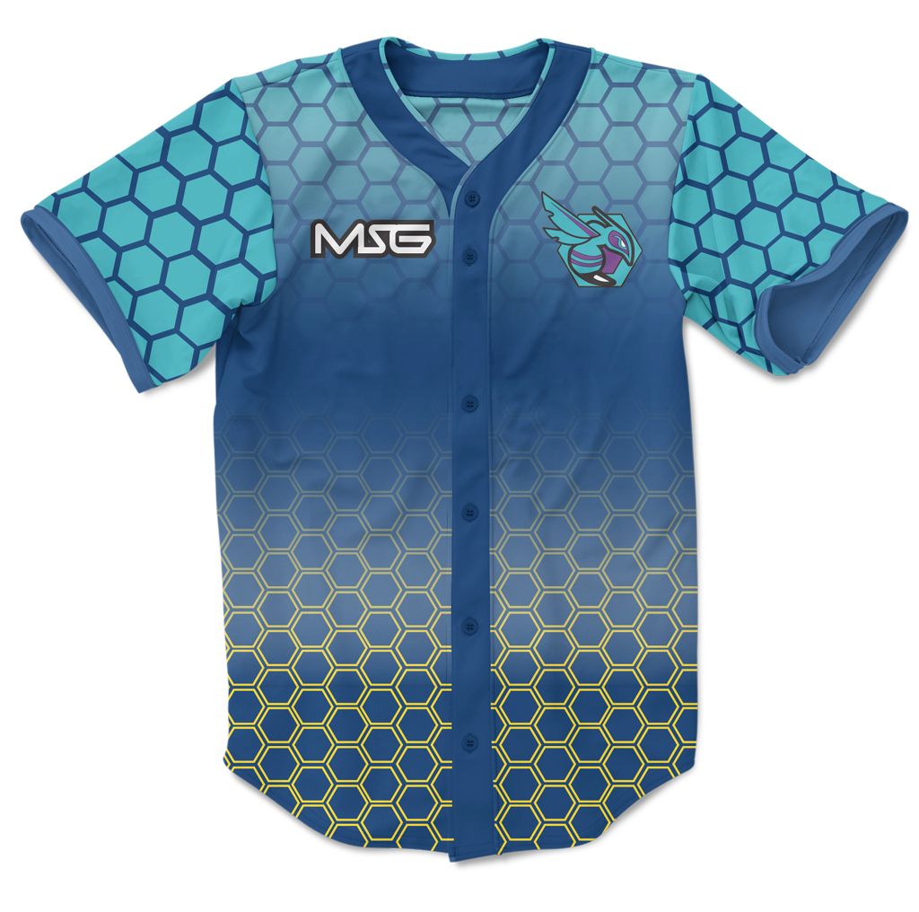 Hornets 2024 baseball jersey