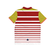 REGULATION POLO