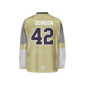 Hockey Jersey #42