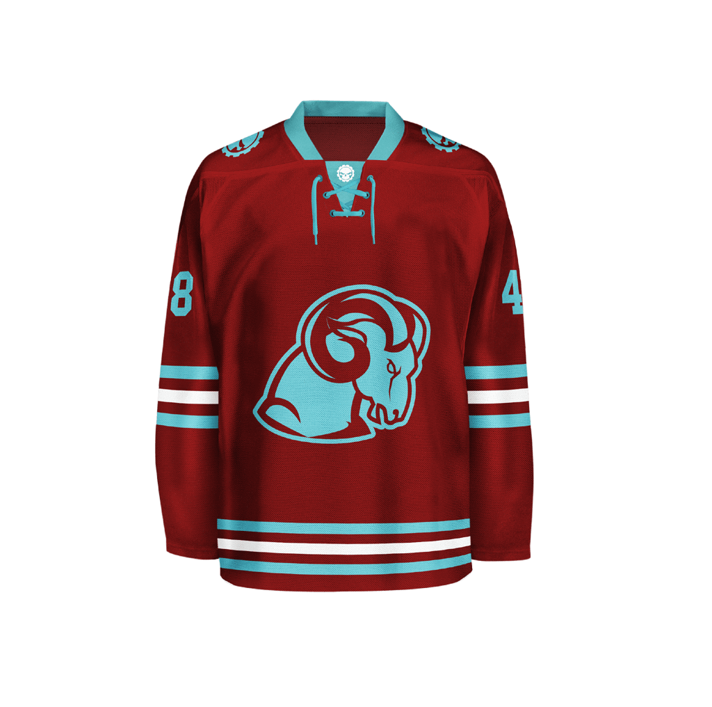 Detroit lions hockey sales jersey