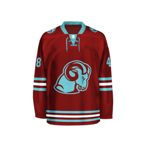 Hockey Jersey #48