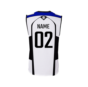 Volleyball Jersey #2